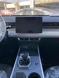 جيتور داشينج